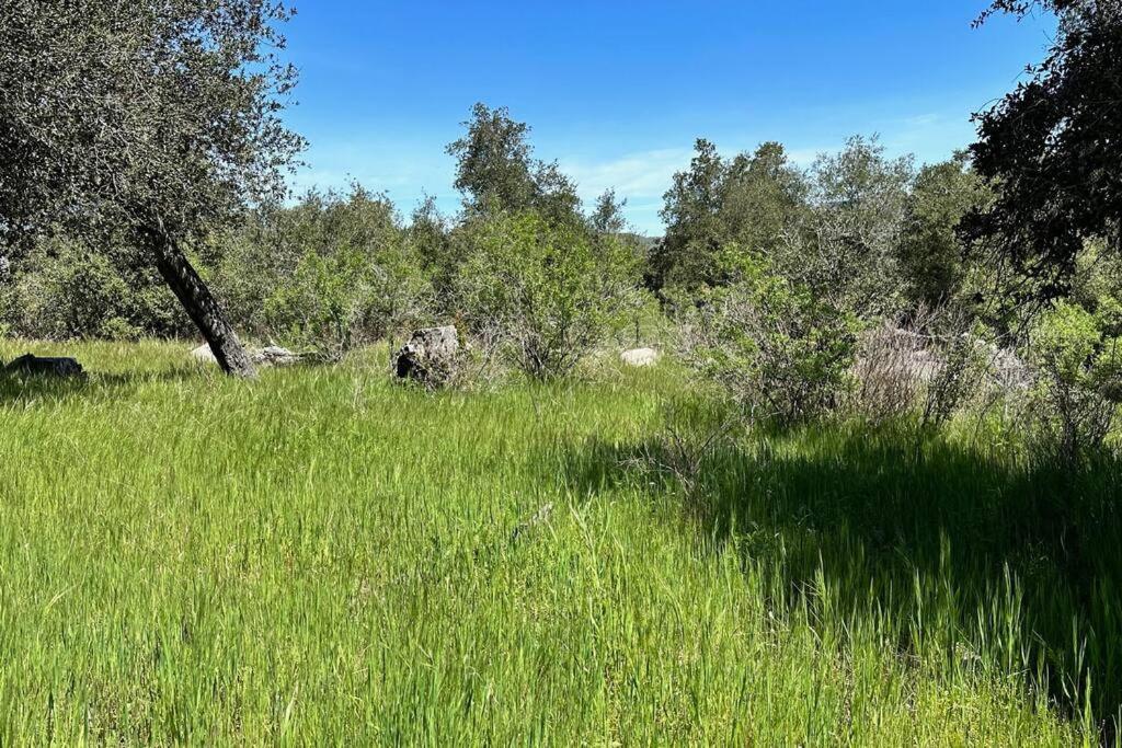 فيلا Julian Orchard Ranch Santa Ysabel المظهر الخارجي الصورة